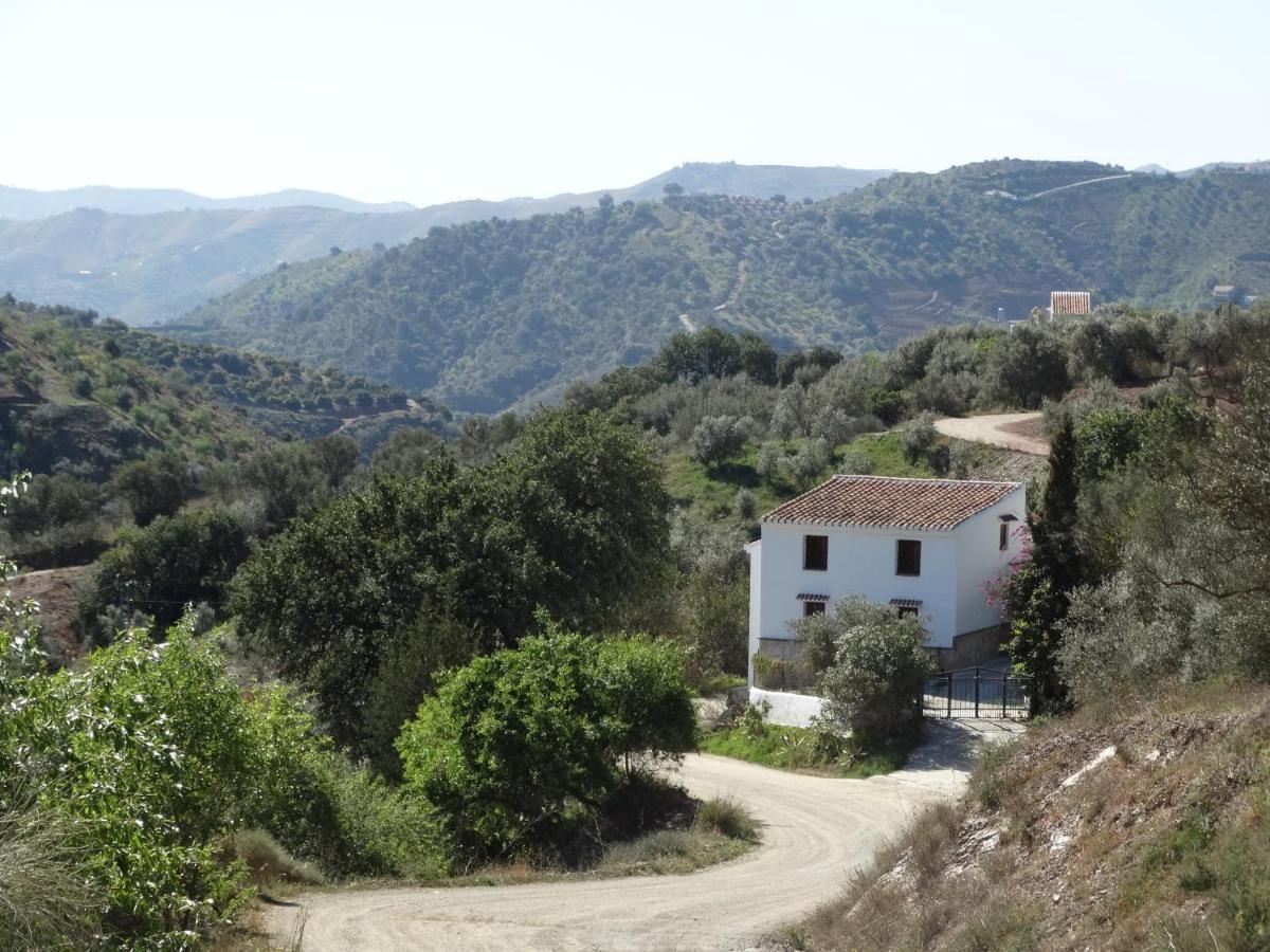 B&B Cortijo Loma Leon Cutar Exteriör bild