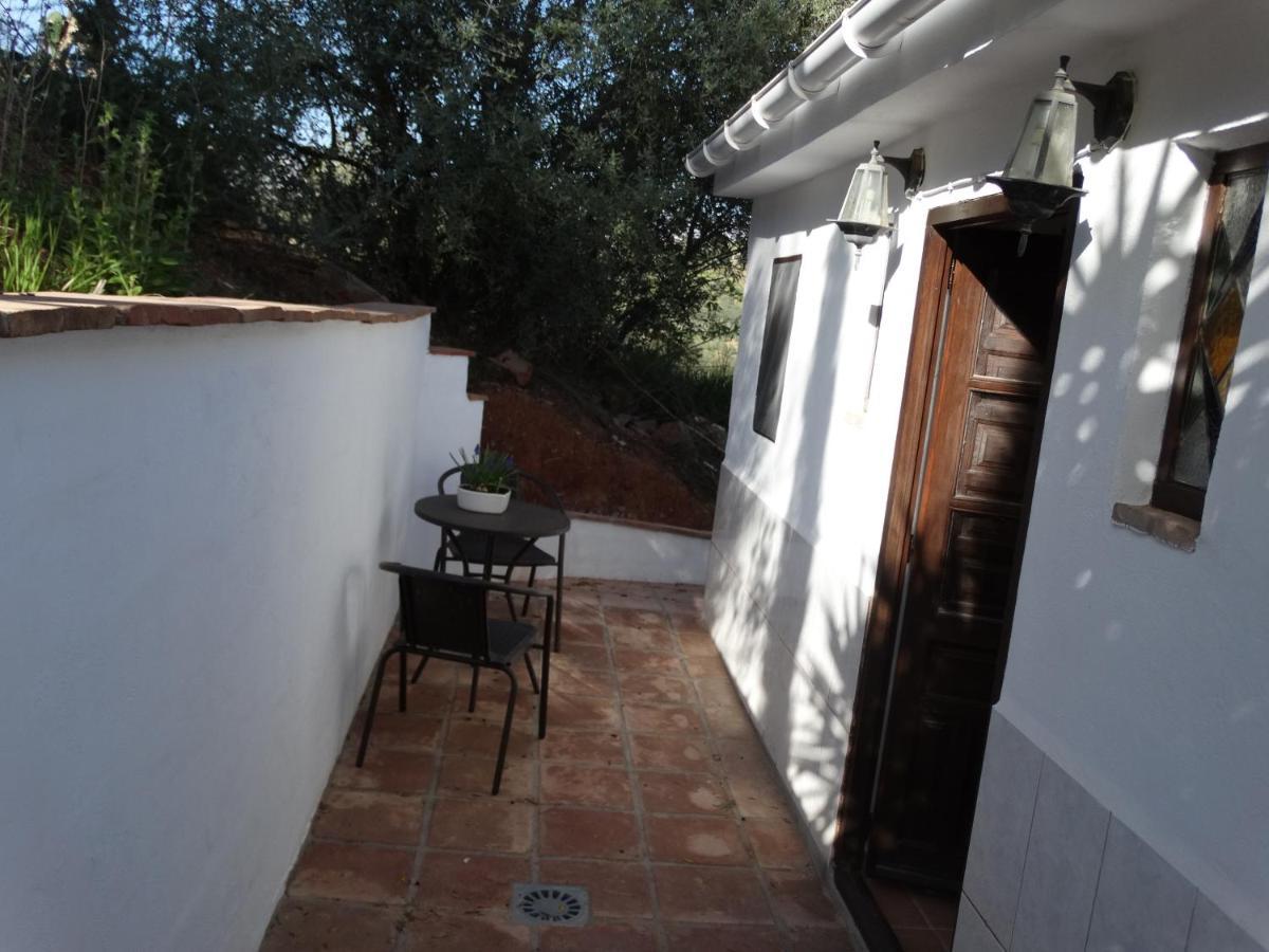 B&B Cortijo Loma Leon Cutar Exteriör bild