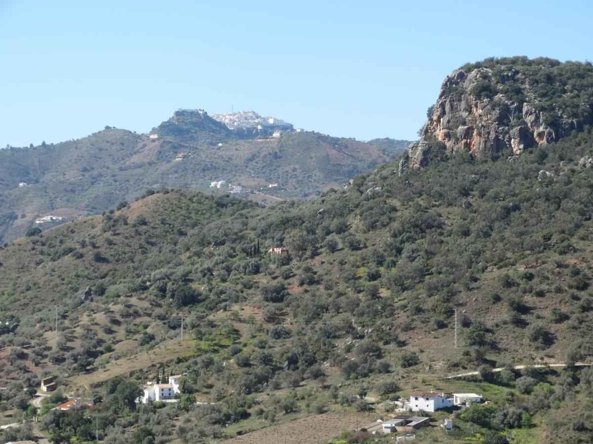 B&B Cortijo Loma Leon Cutar Exteriör bild
