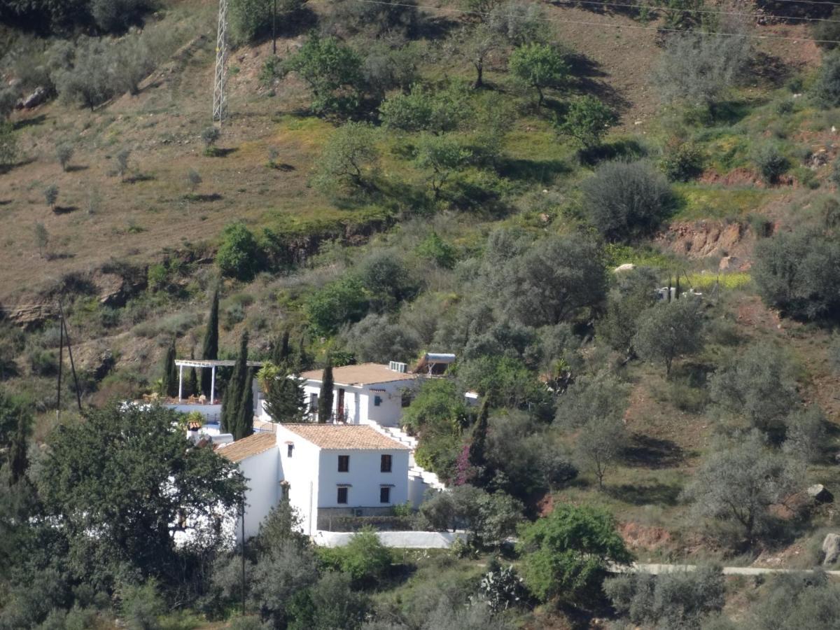 B&B Cortijo Loma Leon Cutar Exteriör bild