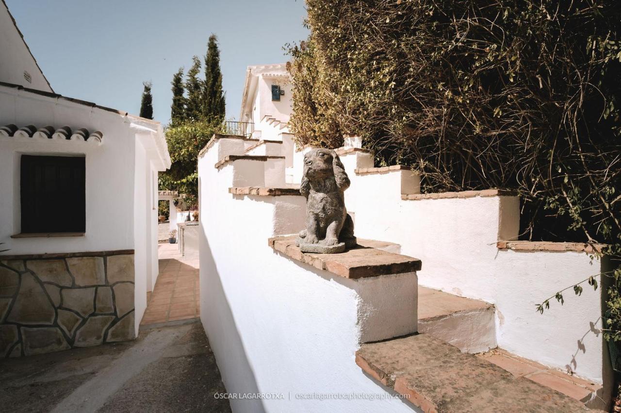B&B Cortijo Loma Leon Cutar Exteriör bild