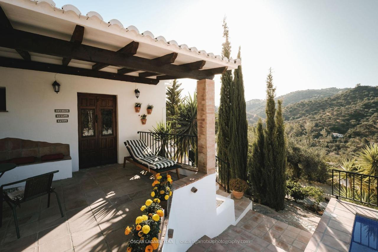 B&B Cortijo Loma Leon Cutar Exteriör bild